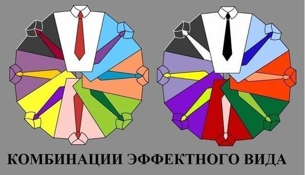 Цвет галстука