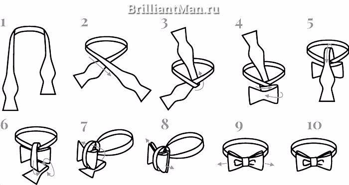 Как завязать галстук-бабочку – фото/схема